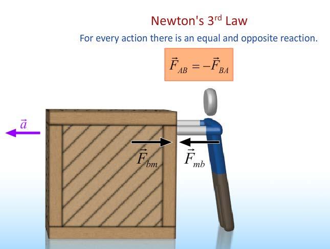 Newton s 3 rd Law