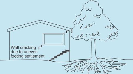 Tree root growth Trees and shrubs that are allowed to grow in the vicinity of footings can cause foundation soil movement in two ways: Roots that grow under footings may increase in cross-sectional