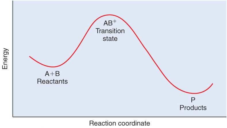 Only the those molecules have sufficient kinetic energy to overcome the activation energy barrier (E a ) will react.