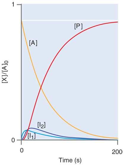 Consecutive First-Order Reactions The Steady-State Approximation The adjacent figure shows the concentrations of A 1, A 2 and A 3 as a function of time when k 1 = 1s 1, and k 2 = 1 s 1 (a), 5 s 1