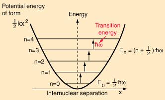 Molecular Vibrations (Harmonic) The Harmonic Approximation