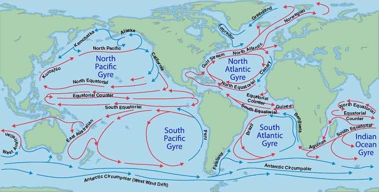 Surface currents The combinaion of global wind paterns and forces created by