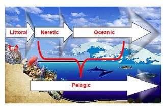 Last week you looked at some ways the ocean can be divided into zones.