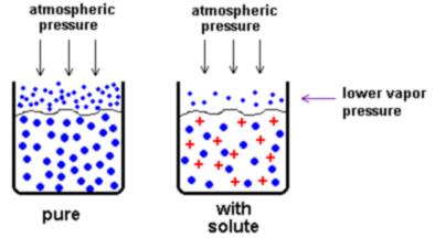 AP CHEMISTRY NOTES 15-3 COLLIGATIVE PROPERTIES SOLUTIONS Molality (m) the number of moles of solute per kilogram solvent EXAMPLE: How many grams of potassium nitrate (KNO3) must be dissolved in 550 g