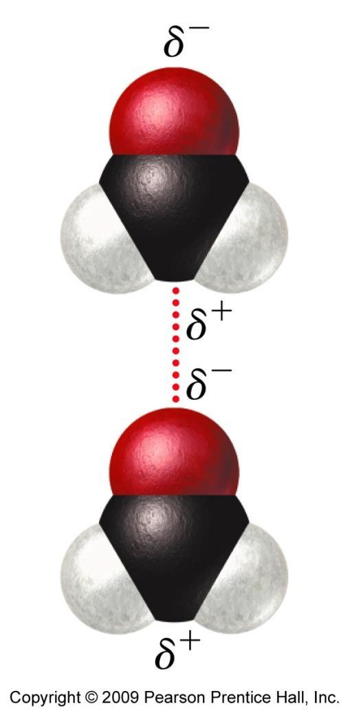 Dipole-to-Dipole Attraction Polar molecules have a permanent dipole.