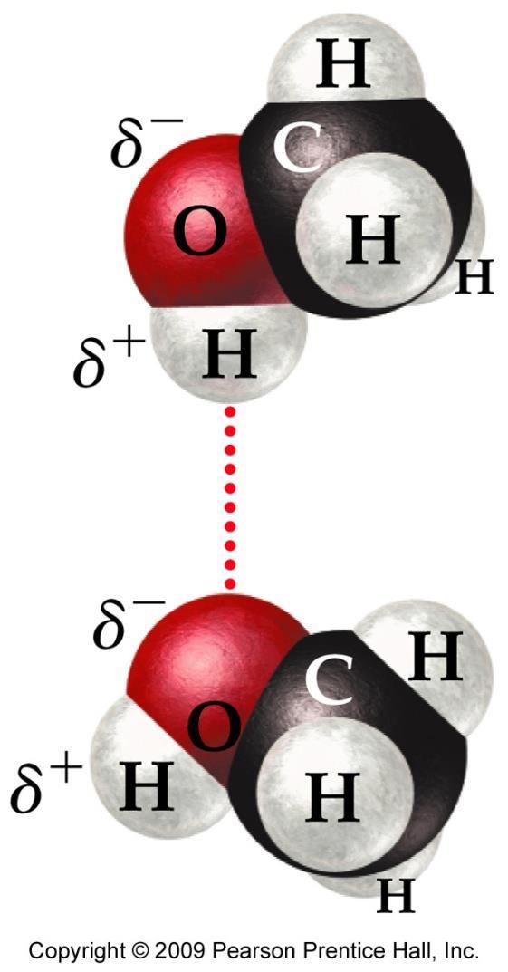 Hydrogen Bonding Hydrogen atoms bound to a N, O or F atom have strong intermolecular attractions.
