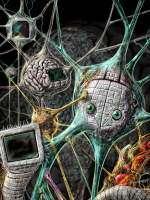 Evolving Neural Networks D. B.
