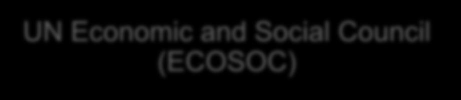 UN Economic and Social Council (ECOSOC) UN