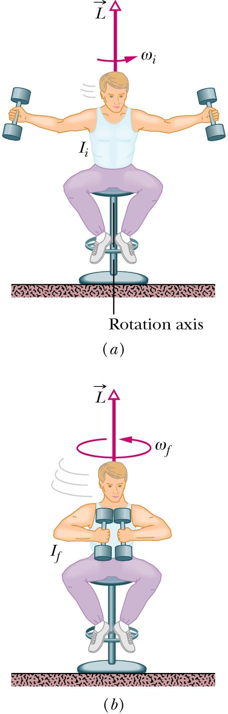 Conservation of Angular momentum I ω i = I ω f Sit on stool with dumbells held straight out 180 degrees