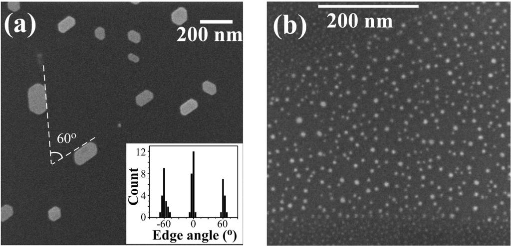 FIG. 1. HRSEM images of Au nanoparticles grown on graphite with thickness of 1.