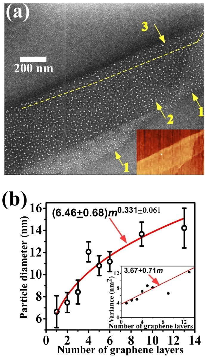 FIG. 2. (a) HRSEM images of Au nanoparticles prepared on few layer graphene on SiO 2 /Si substrate. The numbers and arrow indicate the number of graphene layers.