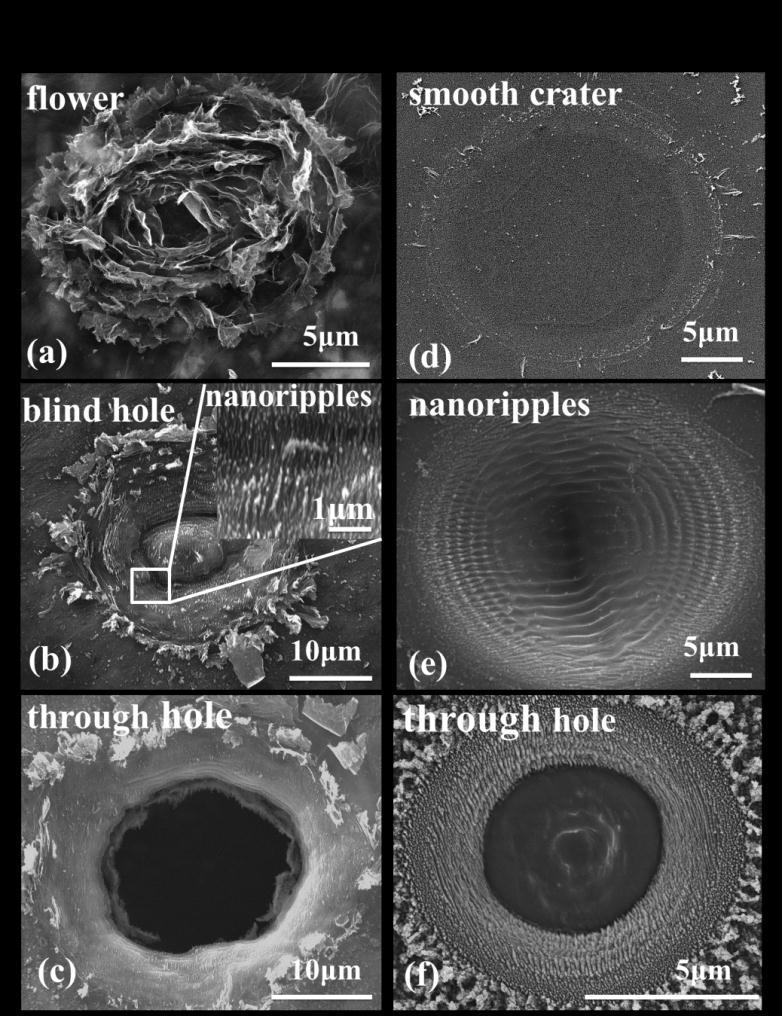 Femtosecond laser rapid fabrication of large-area rose-like micropatterns on freestanding flexible graphene films Xuesong Shi, 1 Xin Li, 1 Lan Jiang, 1,* Liangti Qu, 2 Yang Zhao, 2 Peng Ran, 1