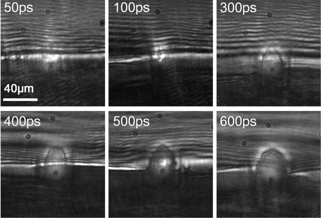 Figure S3 Time-resolved images of plasma generated by fs laser ablation of graphene films at different delay times.