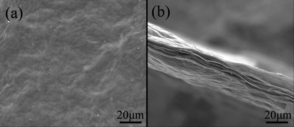 Figure S5 SEM images of top (a) and cross-section (b) view of the as-prepared