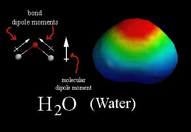 Dipole moments Shape bent Hybridisation sp 3 two very polar covalent bonds between oxygen and