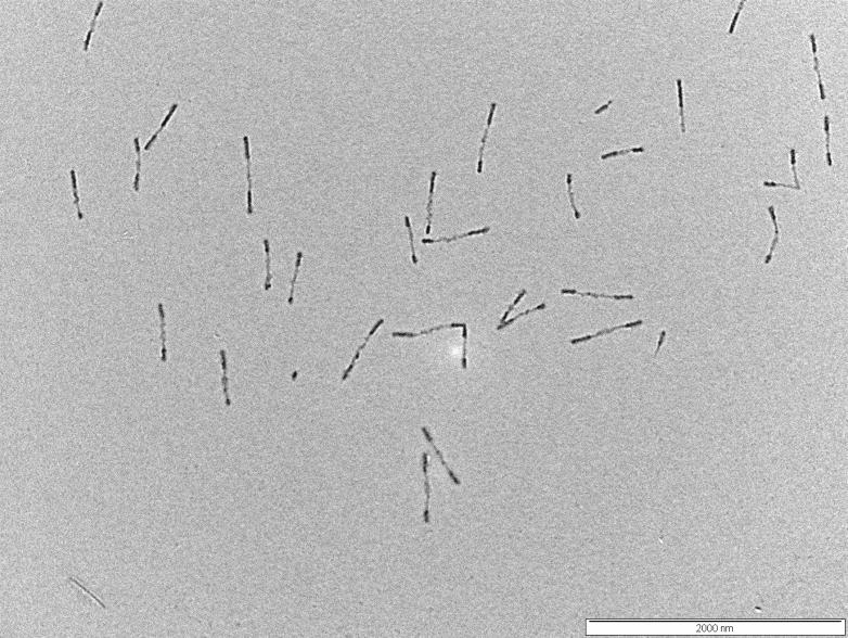 nm Supplementary Figure 7 Crosslinked triblock co-micelles.