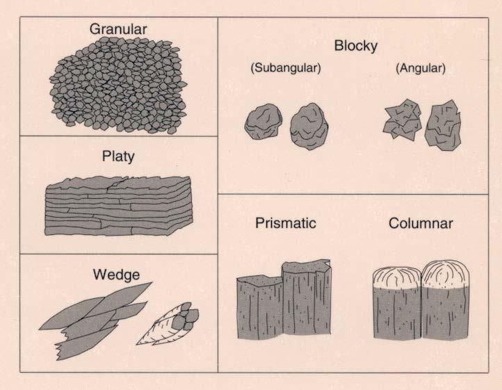 Soil Structure granular blocky angular subangular platy