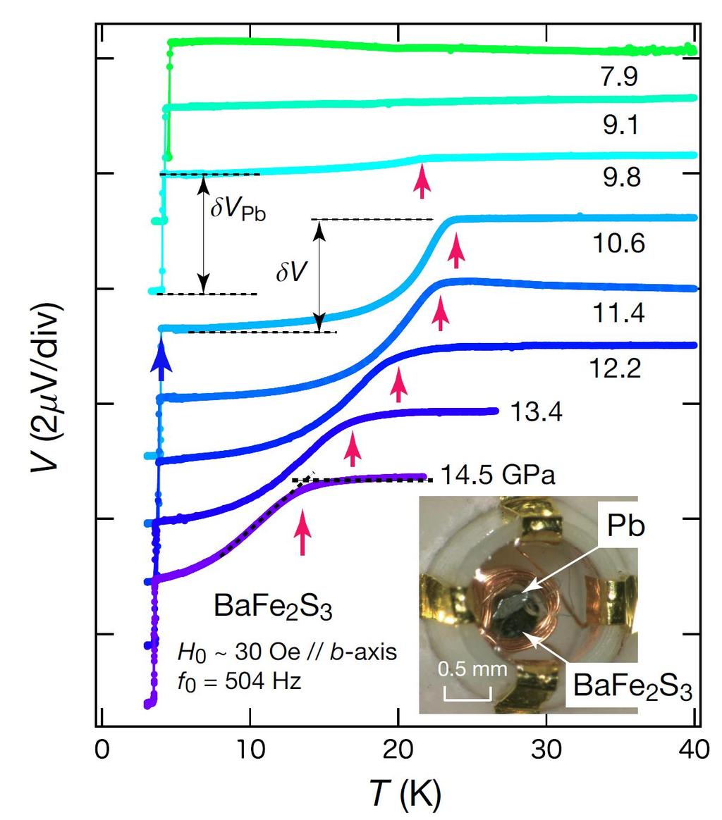 BaFe 2 S 3 under high pressure BaFe 2 S 3 Fermi liquid behavior T 2