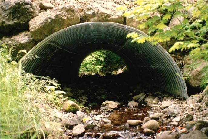 the Impact of Road-Stream Crossing