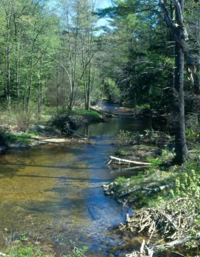 River and Stream Continuity Partnership University of Massachusetts Amherst