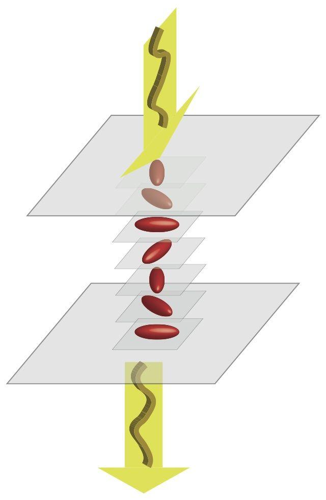 Figure 2. (Left) Molecules, shown as red elongated particles, move freely within horizontal layers and maintain the same orientation in a layer.