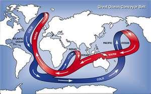 Ocean Currents Stream like movements of water that occur at or near the surface of the ocean are called surface currents.