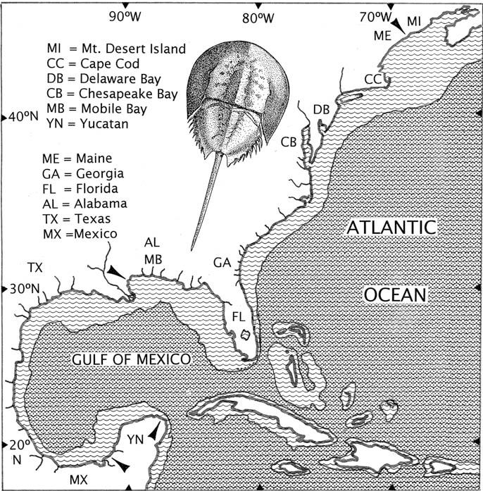 Limits on the Global Distribution of Horseshoe Crabs (Limulacea) 11 Fig.
