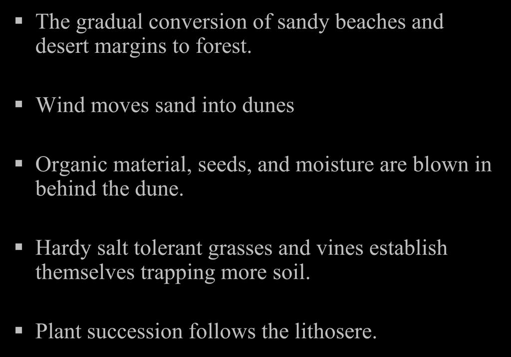 Succession along a beach: The gradual conversion of sandy beaches and desert margins to forest.