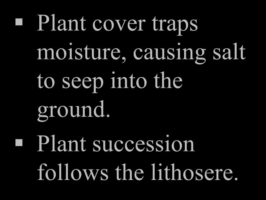Halosere: Plant cover traps
