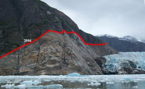 Primary succession occurs after a glacier