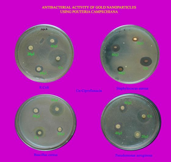 for decades as antimicrobial agents in various fields because of their growth-inhibitory capacity against microorganisms.