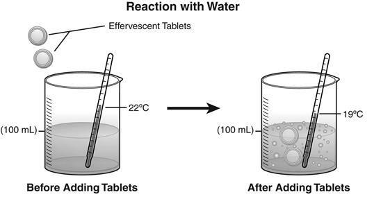 Student: Class: Date: 1. Belinda investigated the reaction that occurred when two effervescent tablets were put into a beaker containing 100 ml of water.