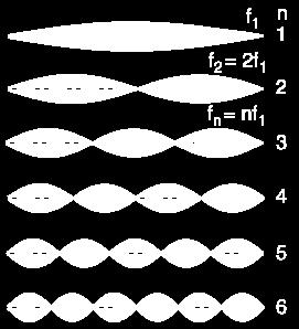 the fundamental note (frequency) and multiples of it (harmonics).