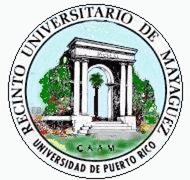 ASSESSMENT OF STUDENT LEARNING Department of Geology University of Puerto Rico at Mayaguez Progress Report Period of Report August to December of 2004.