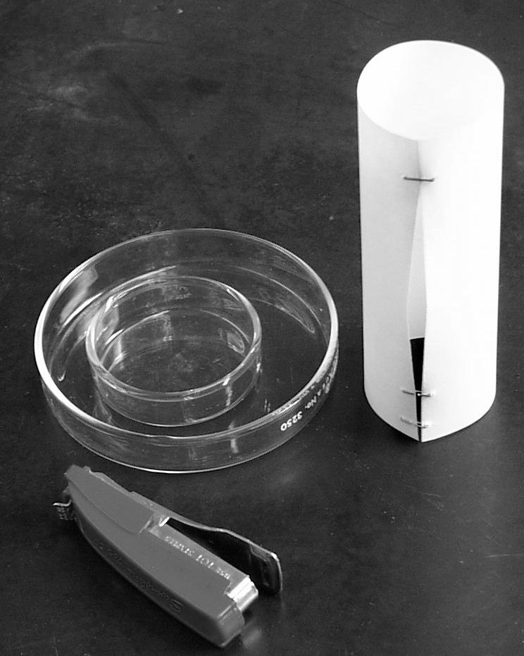 Chromatography Glassware Chromatography Paper with smaller and larger petri dishes Explanation: These pigments are separating by their physical affinity for water (determined by the extent of their