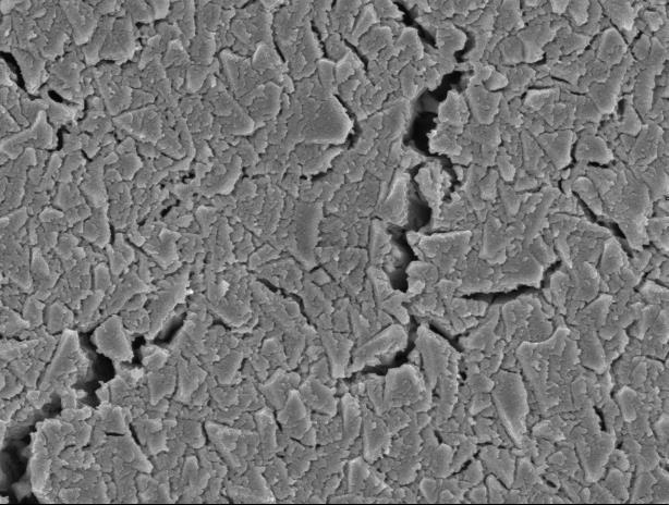 Ex-situ SEM characterization was performed on a 1.
