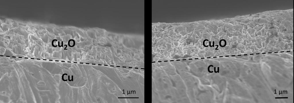 S1.2. Determination of the Thicknesses of the Cu2O Films Copper discs deposited with Cu2O layers were cleaved, and their cross-sections were imaged by scanning electron microscopy (Figure S1).