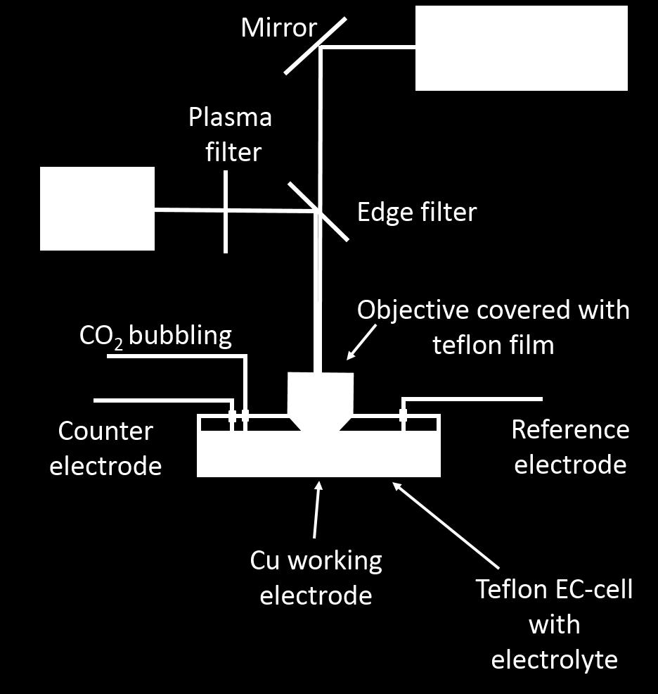 schematic diagram and photograph of the Raman