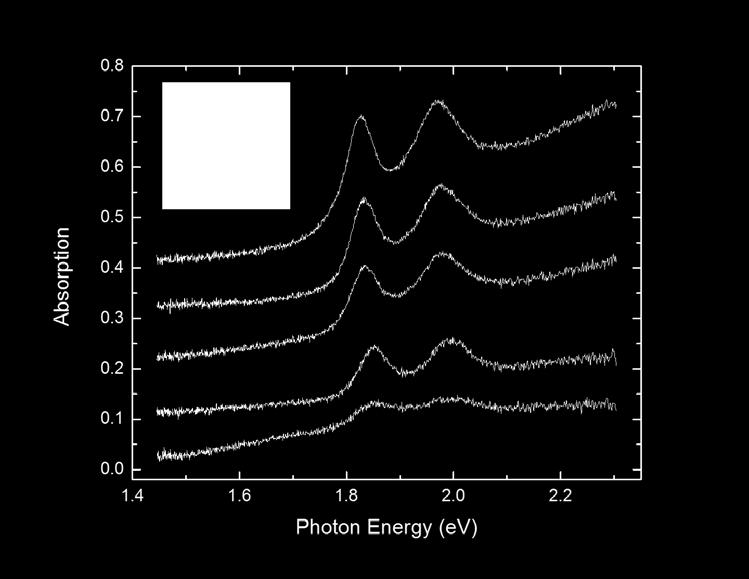 We can observe the same features and trend reported in the main text for the SH spectroscopy. The B-exciton feature at around 2.