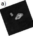 Two-Photon lensless endoscope (proximal