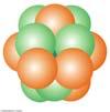 Forces in the nuclei Coulomb forces The protons repel each other with Coulomb forces. These are enormously large due to the small size.