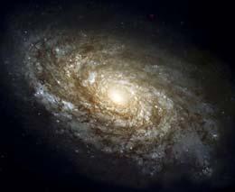 Elliptical: >20% Irregular: < 3% Galaxies