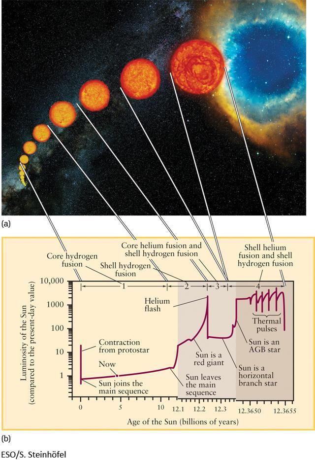 The Life of the Sun Or any other 1 solar mass