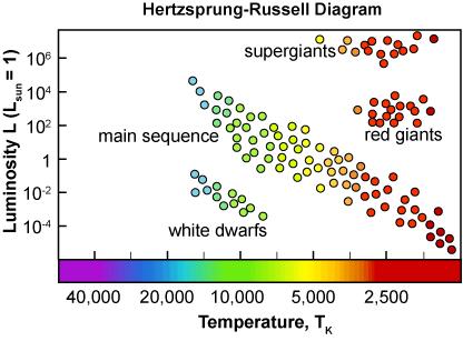 An astronomer discovers a new star that would be placed at the far left end of main sequence stars in an H-R diagram.