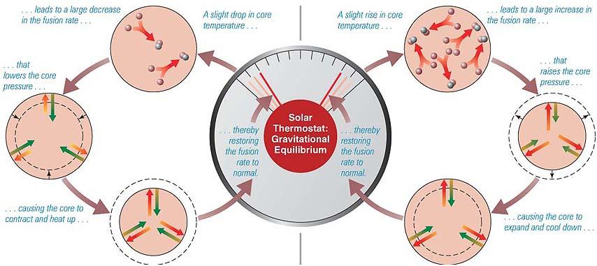 Solar Thermostat and the Main Sequence Decline in core temperature causes fusion rate to drop, so core