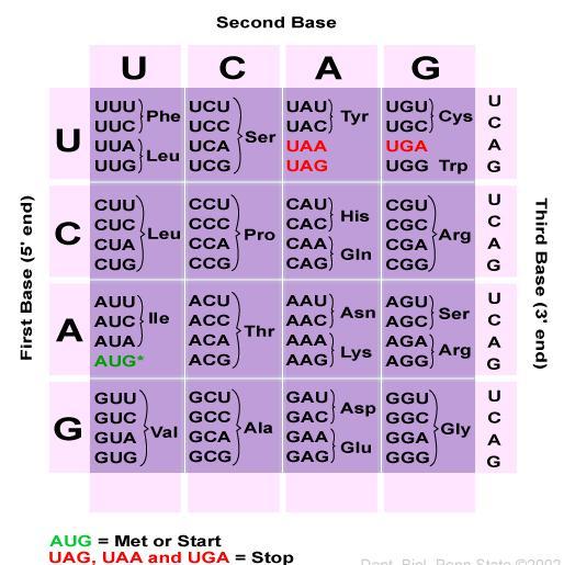 Figure 3: Triplet codon Source: https://online.science.psu.edu/sites/default/files/biol110/tutorial17_genetic_code.jpg Characteristic features of Genetic code: a.