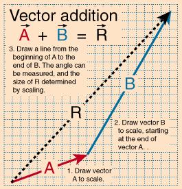 Kinematics 1. Introduction to Kinematics. Scalars & vectors 2. Position & displacement 3. Velocity 4. Acceleration 5. Uniform linear motion 6. Uniformly accelerated motion 7.