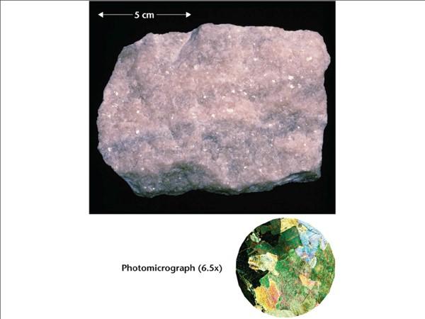 C 30. Of pictures C and D, which picture exhibits a more uniform non-foliated appearance? Select the D 31. Of Pictures C and D which picture exhibits larger crystals? Select the appropriate letter 32.
