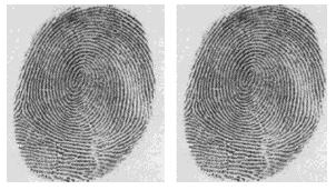 FBI Fingerprint Compression A single fingerprint is