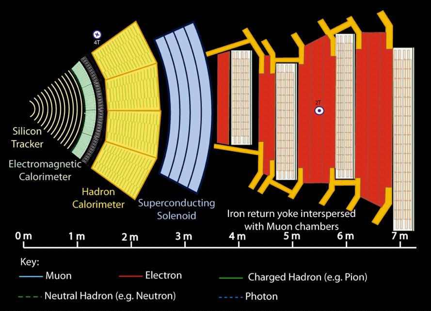 General HEP collider detector Different